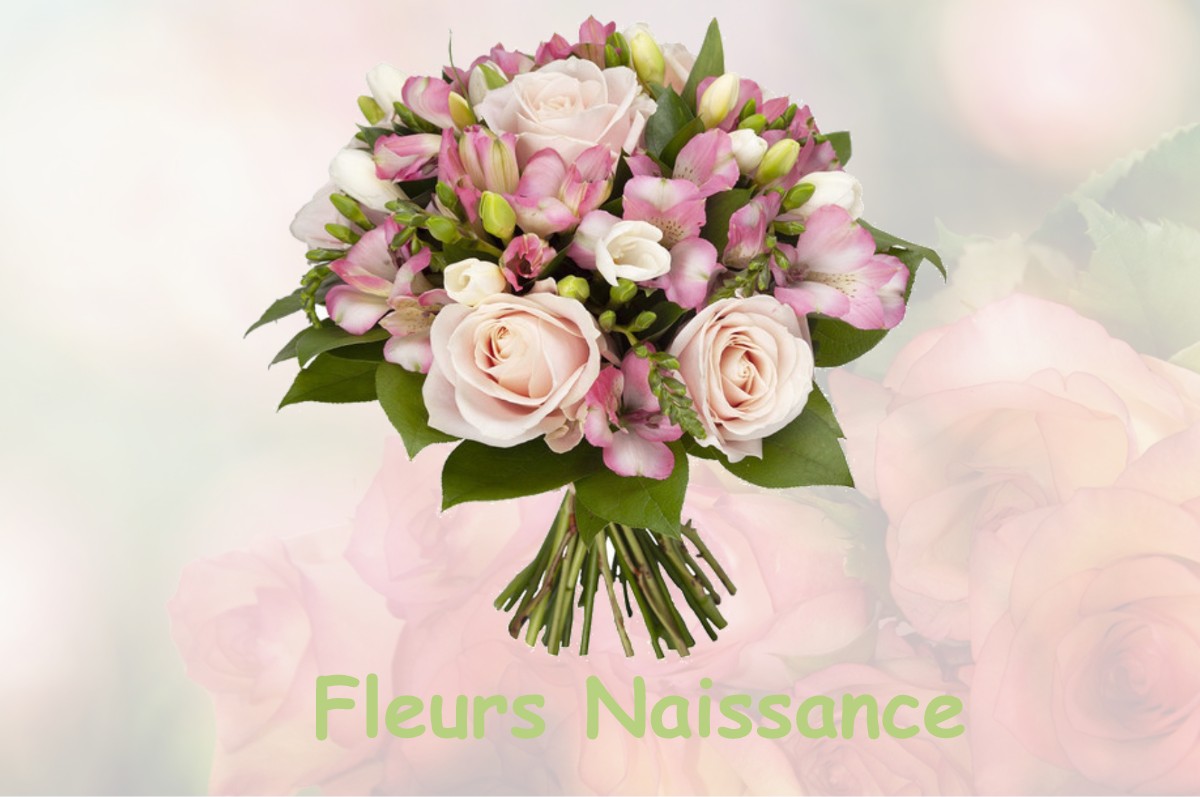 fleurs naissance VILLERSERINE