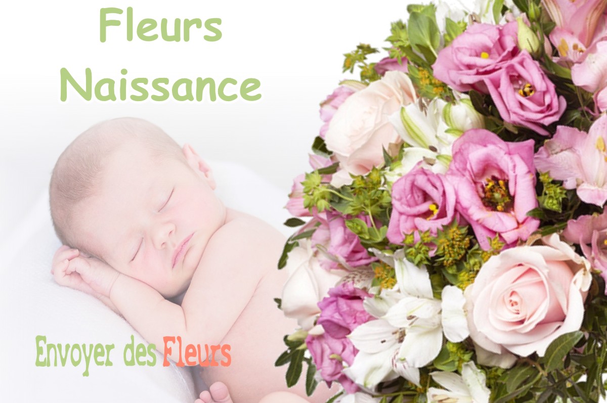 lIVRAISON FLEURS NAISSANCE à VILLERSERINE